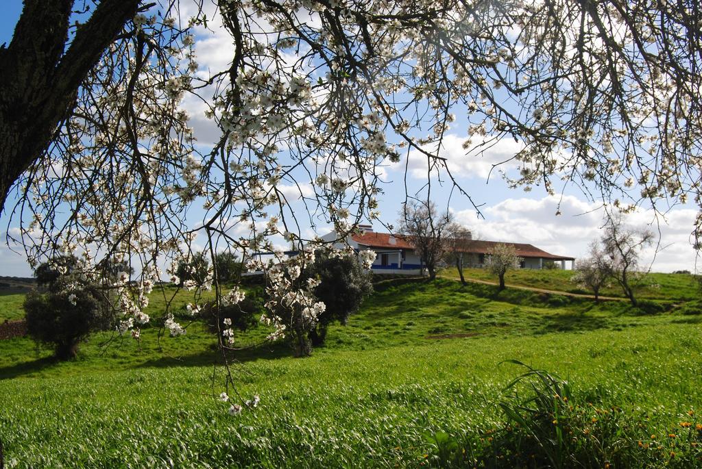 Herdade Dos Mestres Terena Buitenkant foto