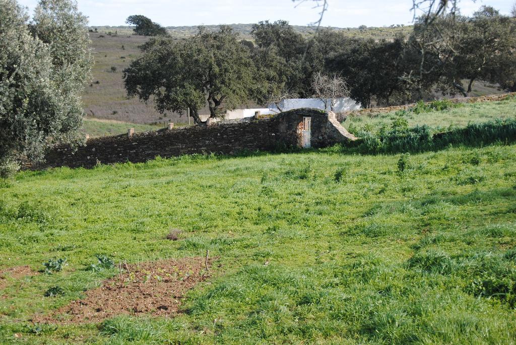 Herdade Dos Mestres Terena Buitenkant foto