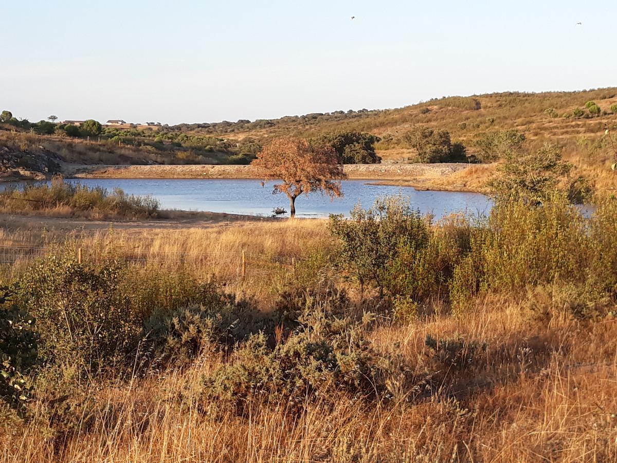 Herdade Dos Mestres Terena Buitenkant foto